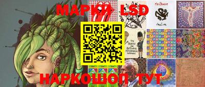 гидропоника Кингисепп