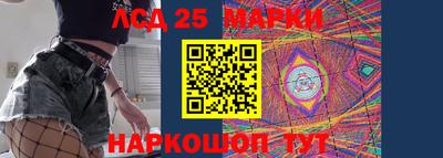 гидропоника Кингисепп