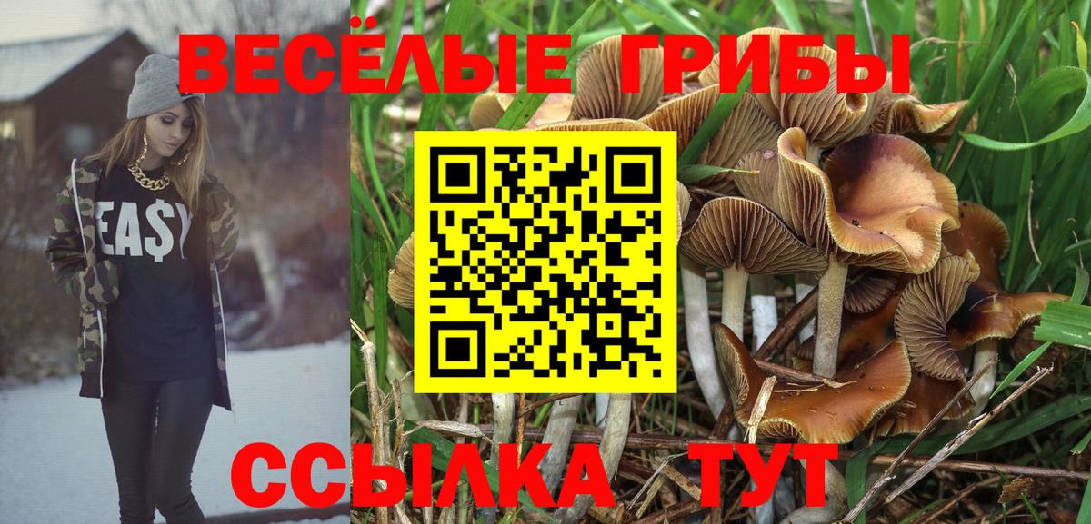 Коммунар  Галлюциногенные грибы Psilocybe  Вход с VPN 